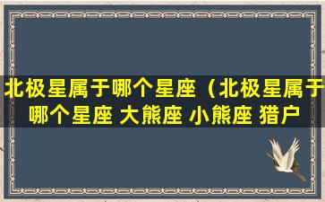 北极星属于哪个星座（北极星属于哪个星座 大熊座 小熊座 猎户座 英仙座）